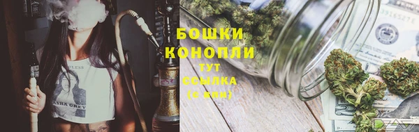прущие грибы Балахна