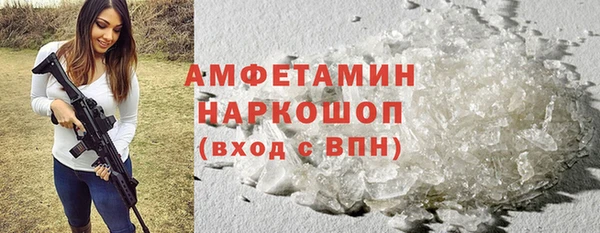 прущие грибы Балахна