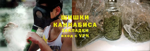 прущие грибы Балахна