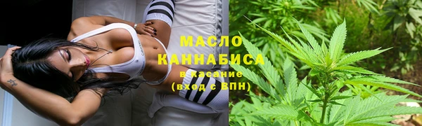 прущие грибы Балахна