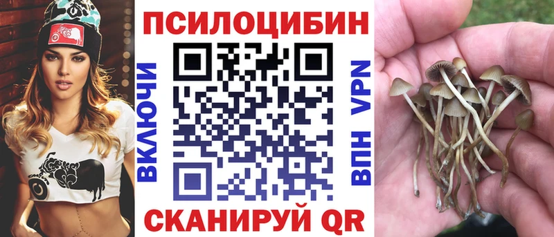 kraken маркетплейс  Воронеж  Галлюциногенные грибы Magic Shrooms 